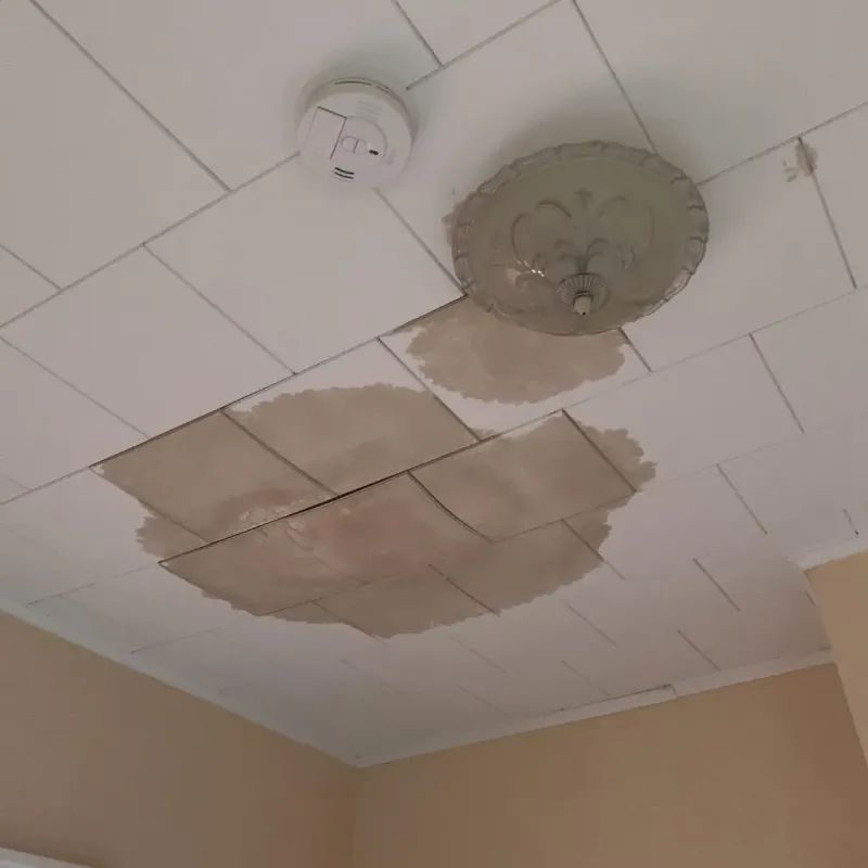 Ceiling Water Damage Repair in Roxboro, NC