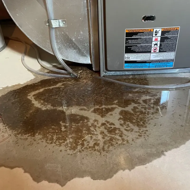 Pipe Burst and Leak Restoration in Roxboro, NC