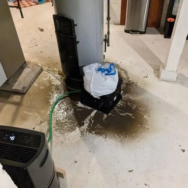 Sewage Backup Cleanup Service in Roxboro, NC